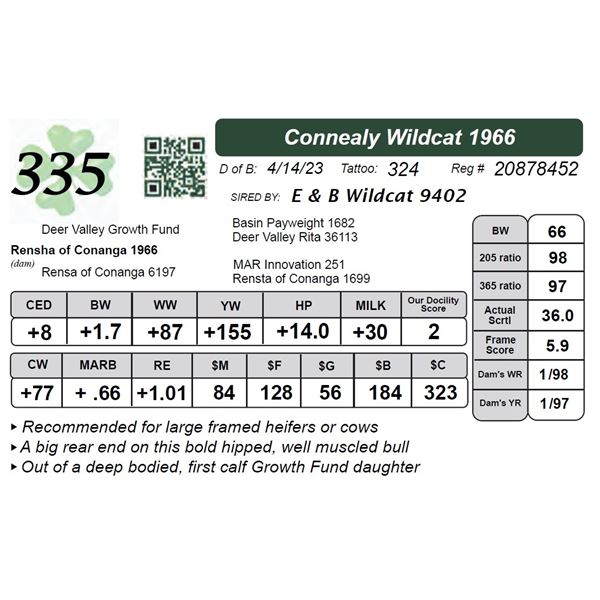 Connealy Wildcat 1966