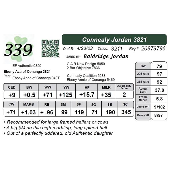 Connealy Jordan 3821