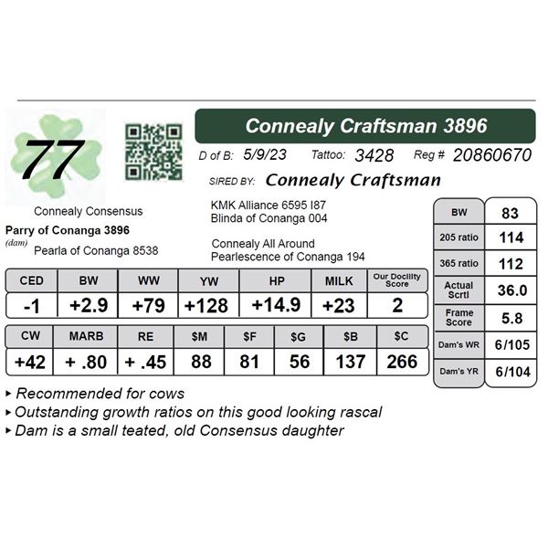 Connealy Craftsman 3896
