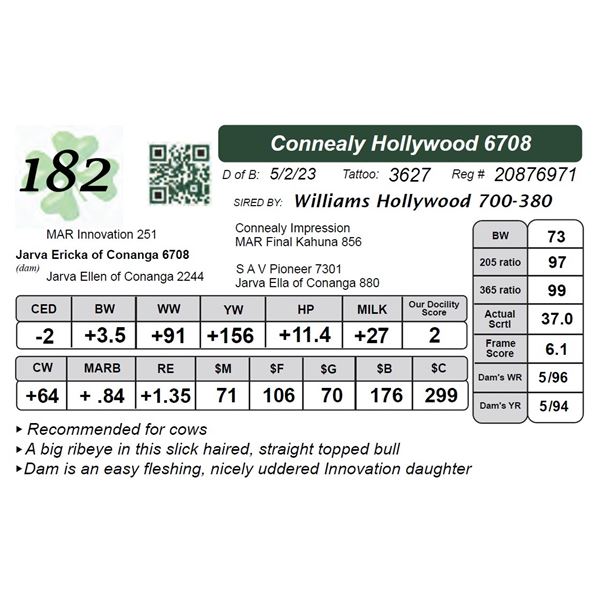Connealy Hollywood 6708