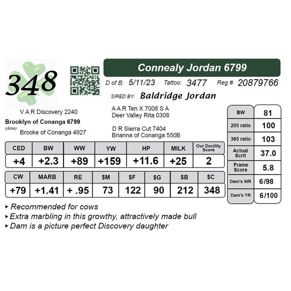 Connealy Jordan 6799