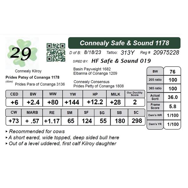 Connealy Safe & Sound 1178
