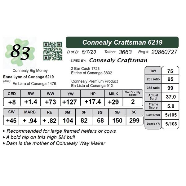 Connealy Craftsman 6219