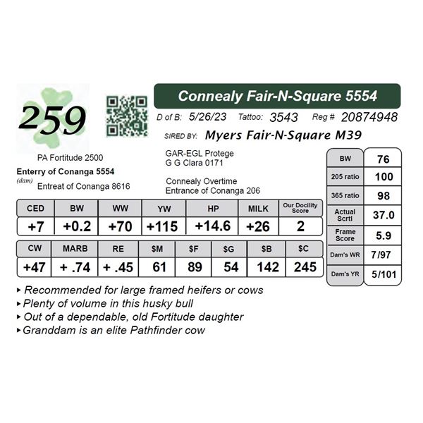 Connealy Fair-N-Square 5554