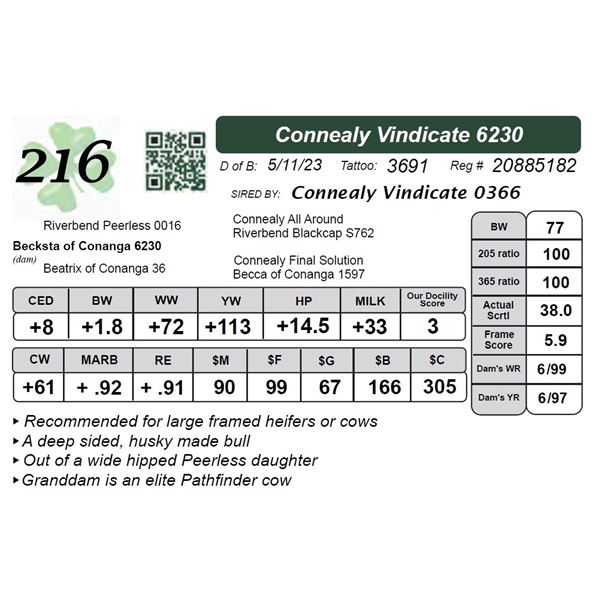 Connealy Vindicate 6230
