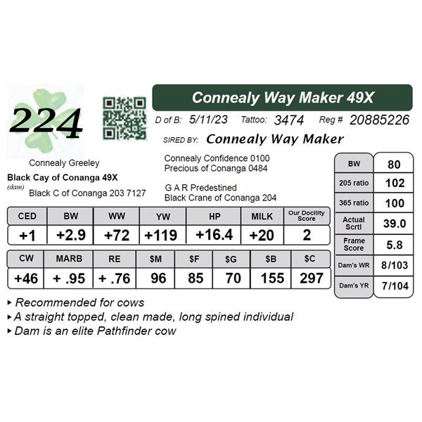 Connealy Way Maker 49X