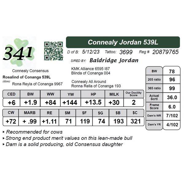 Connealy Jordan 539L