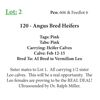 Image 1 : 120 - Angus Bred Heifers