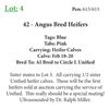 Image 1 : 39 - Angus Bred Heifers