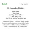 Image 1 : 39 - Angus Bred Heifers
