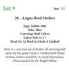 Image 1 : 26 - Angus Bred Heifers