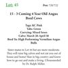 Image 1 : 17 - 3 Coming 4 Year Old Angus Bred Cows
