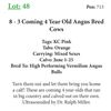Image 1 : 4 - 3 Coming 4 Year Old Angus Bred Cows