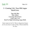 Image 1 : 3 - Coming 3 & 4  Year Old Angus Bred Cows