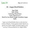 Image 1 : 27 - Angus Bred Heifers