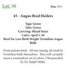 Image 1 : 38 - Angus Bred Heifers