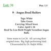 Image 1 : 9 - Angus Bred Heifers