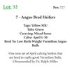 Image 1 : 7 - Angus Bred Heifers