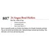 Image 1 : 24 HD - ANGUS BRED HEIFERS