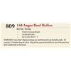 Image 1 : 28 HD - ANGUS BRED HEIFERS