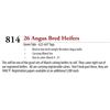 Image 1 : 19 HD - ANGUS BRED HEIFERS