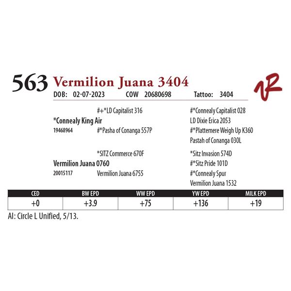 VERMILION JUANA 3404