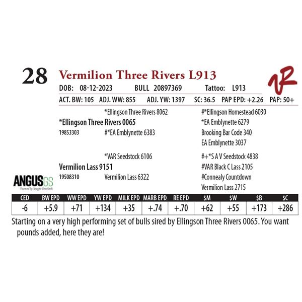 VERMILION THREE RIVERS L913