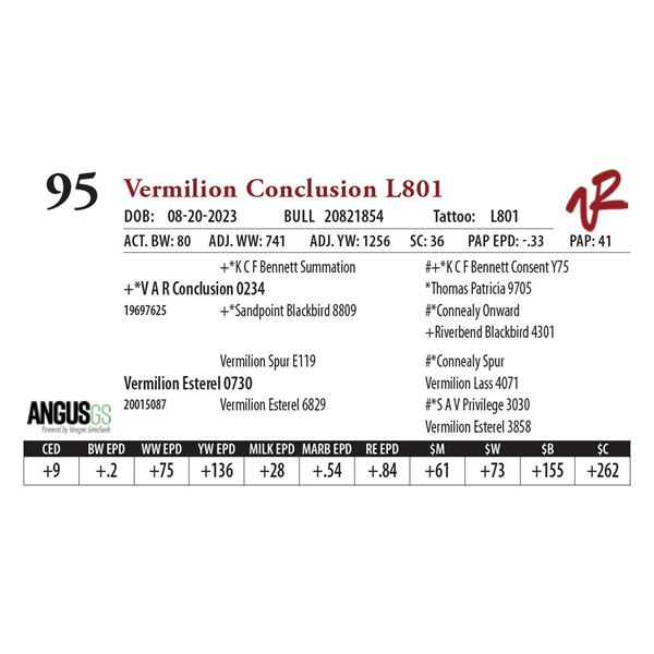 VERMILION CONCLUSION L801
