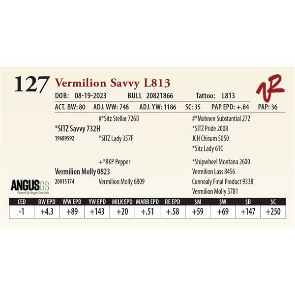 VERMILION SAVVY L813