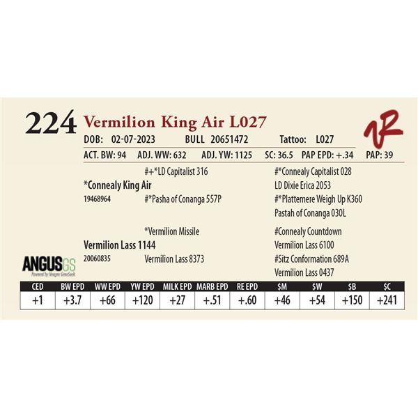 VERMILION KING AIR L027