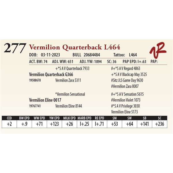 VERMILION QUARTERBACK L464