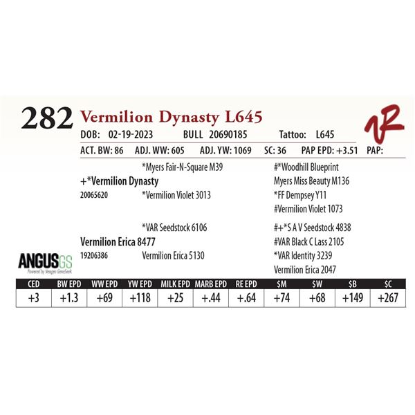 VERMILION DYNASTY L645