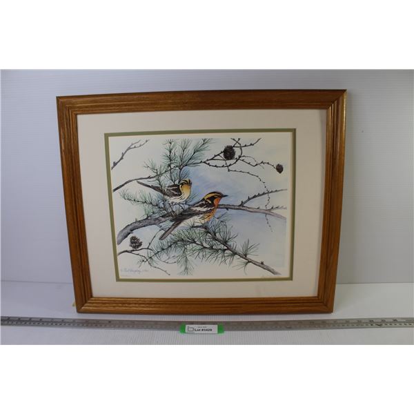 Framed Print - Warblers in Pine Tree - Signed - Paul Harley 1981 (Certificate of Edition on Back - 2