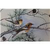 Image 2 : Framed Print - Warblers in Pine Tree - Signed - Paul Harley 1981 (Certificate of Edition on Back - 2