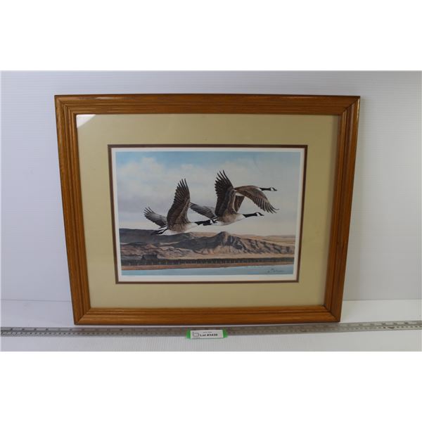 Framed Print w/Glass - Canadian Geese in Slight - Signed - Kay Williams (certificate of Edition on b