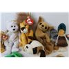Image 3 : (8) Stuffed TY Beanie Babies