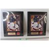 Image 1 : (2) Mario Lemieux Gold Medal Champion Canada Plaques - 12 1/2" x 16"