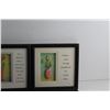 Image 3 : (6) Framed Wall Decorations 8'' x 8''