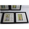 Image 5 : (7) Framed Wall Decorations 8'' x 8''