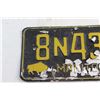 Image 6 : (2) Manitoba License Plates