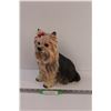 Image 1 : Yorkshire Terrier Statue -10.5" x 8"