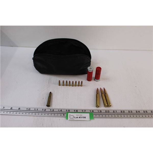 * Ammunition/Bullets: (3) 207 Winchester, (1) 30-30, (2) 12 Gauge Shotgun, Plethora of 22 Winchester