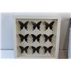Image 3 : (2) Framed Butterfly Wall Decorations and Cloth&Conopy 6pc Queen Sheet Set