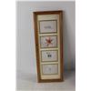 Image 7 : Assorted Picture Frames and Photo Books