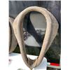 Image 3 : VINTAGE HORSE COLLAR AND TACK