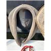 Image 5 : VINTAGE HORSE COLLAR AND TACK