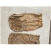 Image 10 : POTATO SACKS, LOT OF FOUR