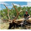 Image 1 : New Mexico: 5 Day Elk/Deer/Bear Combination Archery hunt for 2 hunters