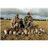 Image 6 : Canada: 3 Day Mixed Bag Waterfowl Hunt for 4 hunters in the heart of Saskatchewan’s flyway