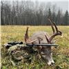 Image 8 : Alberta: 6 Day Whitetail & Mule Deer Hunt for 1 Hunter, includes 1 Whitetail & 1 Mule Deer Buck!